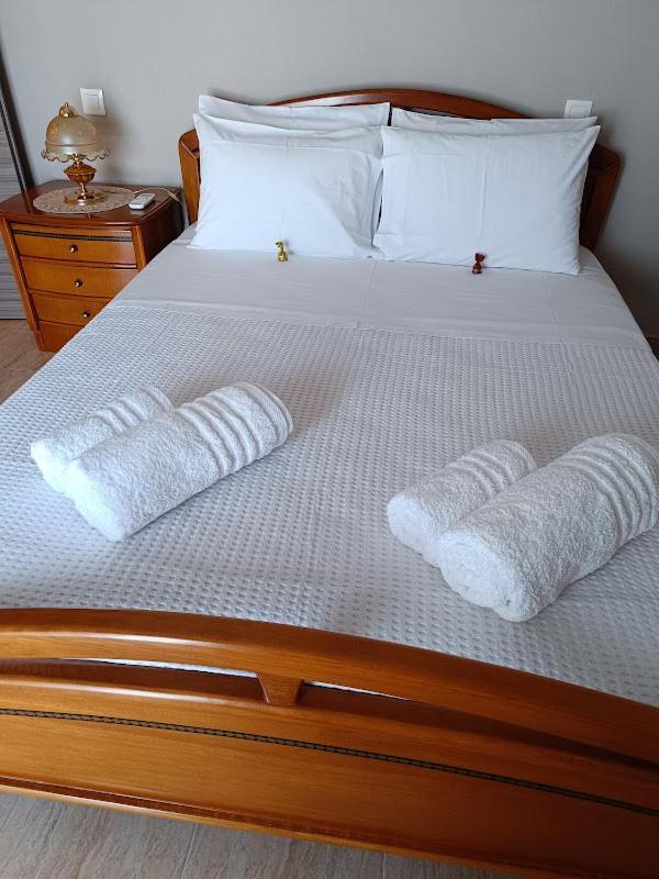 Panos House - High Luxury Apartment Tríkala Екстериор снимка