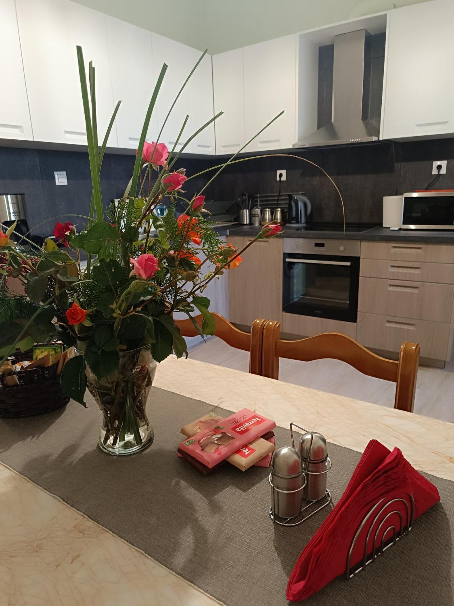 Panos House - High Luxury Apartment Tríkala Екстериор снимка