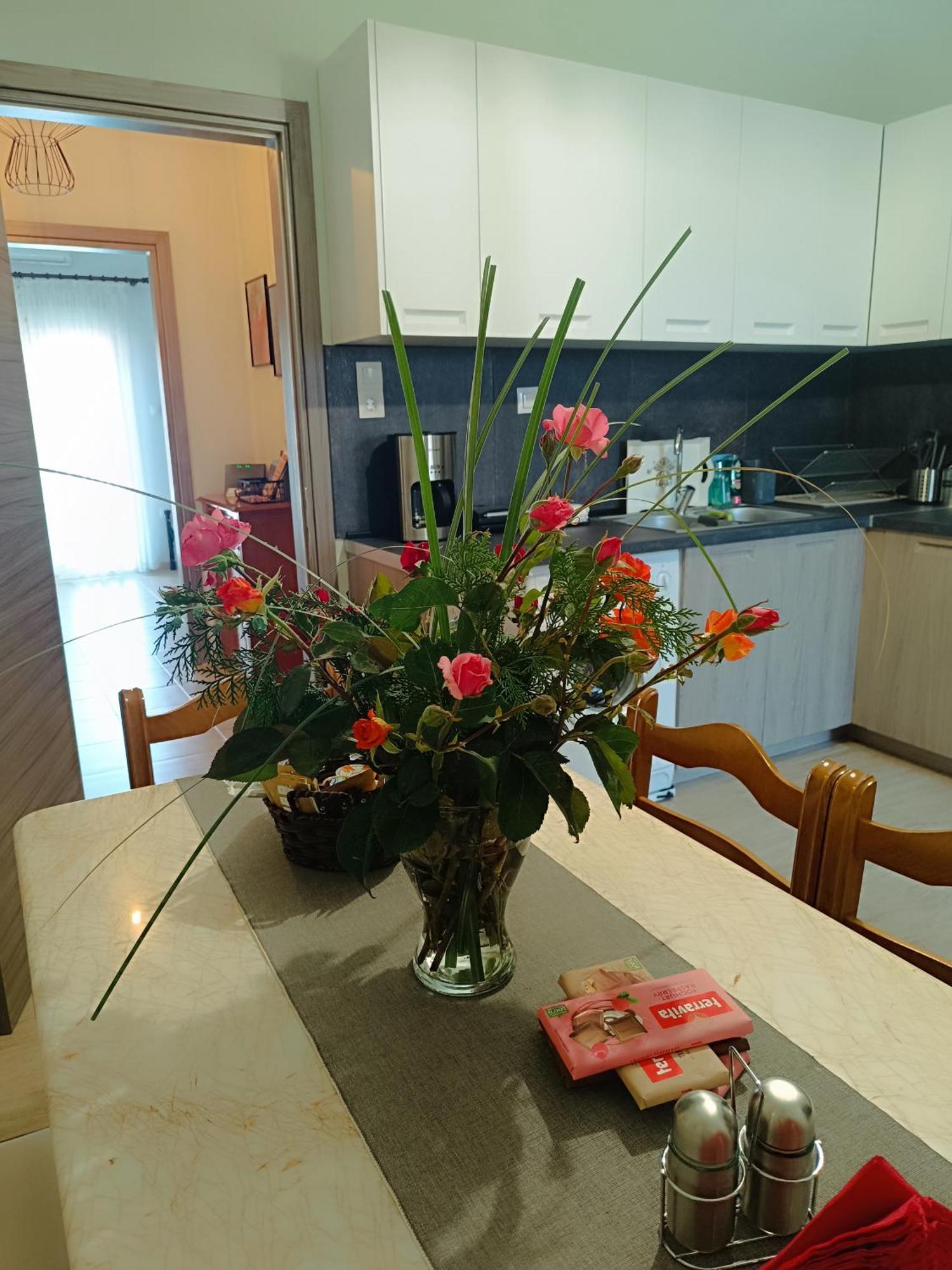Panos House - High Luxury Apartment Tríkala Екстериор снимка